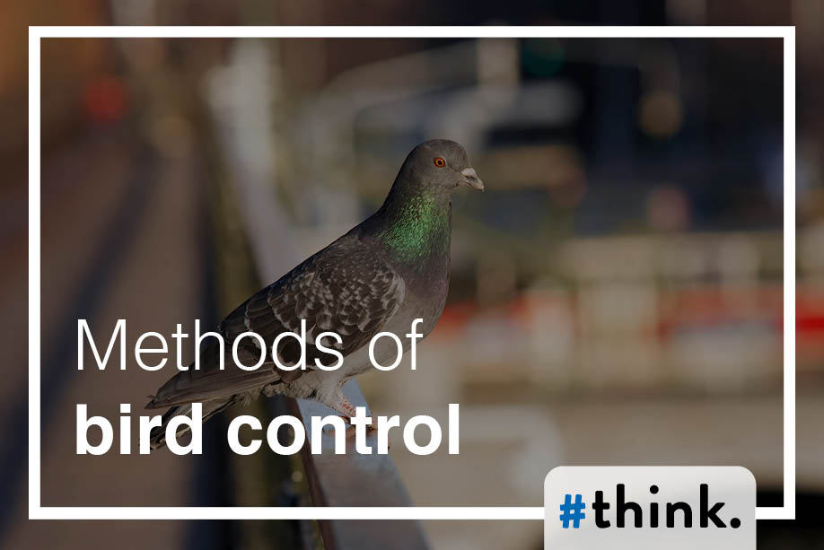 Methods of Control | Think Pest Control