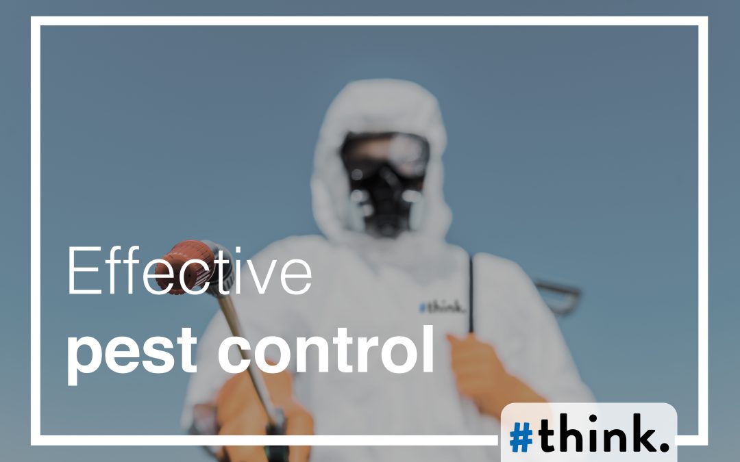 Effective Pest Control | Think Pest Control