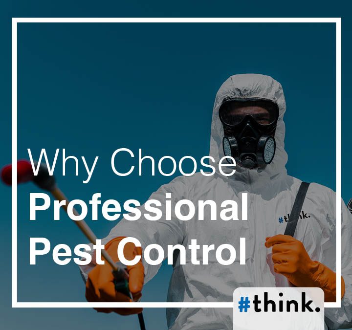 5 Compelling Reasons to Hire a Professional Pest Control Company