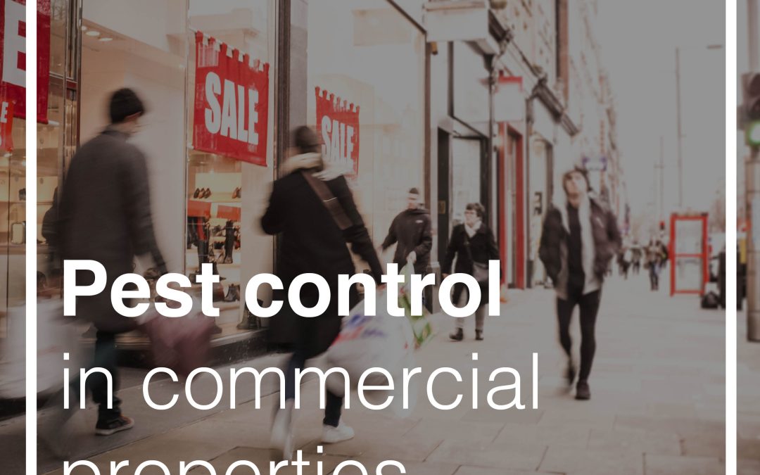 The Importance of Pest Control in Commercial Properties