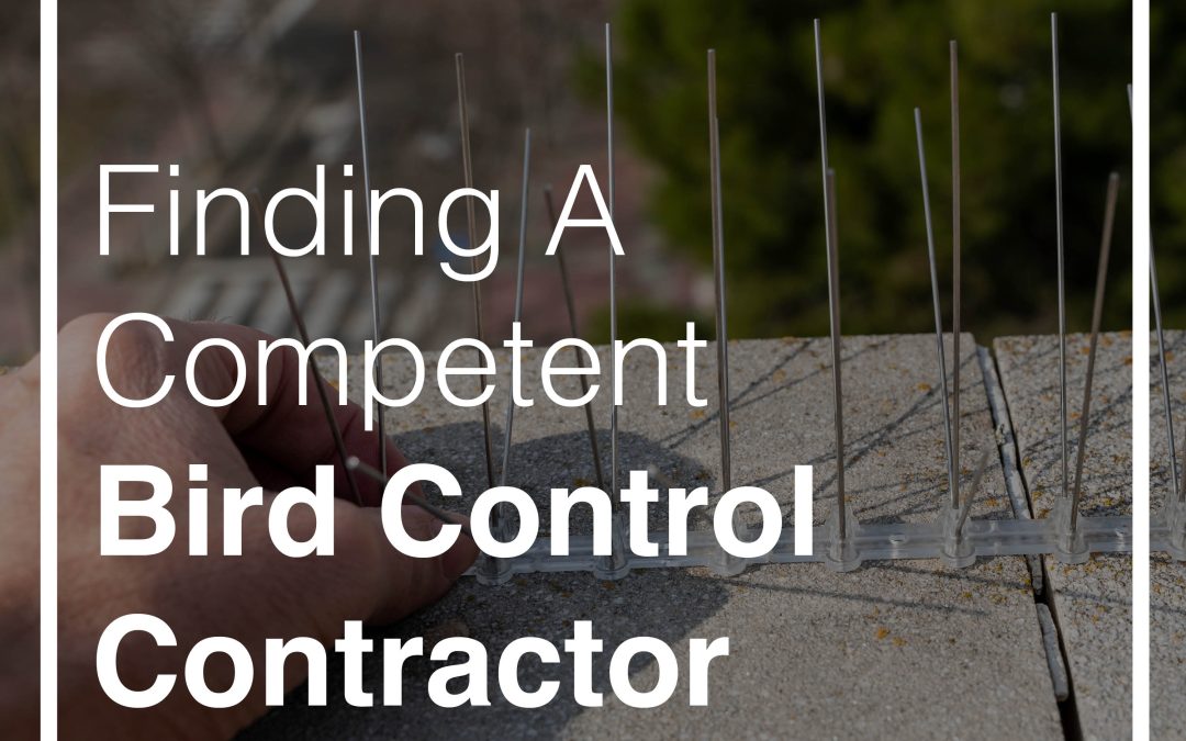 How to Find a Competent Bird Control Contractor