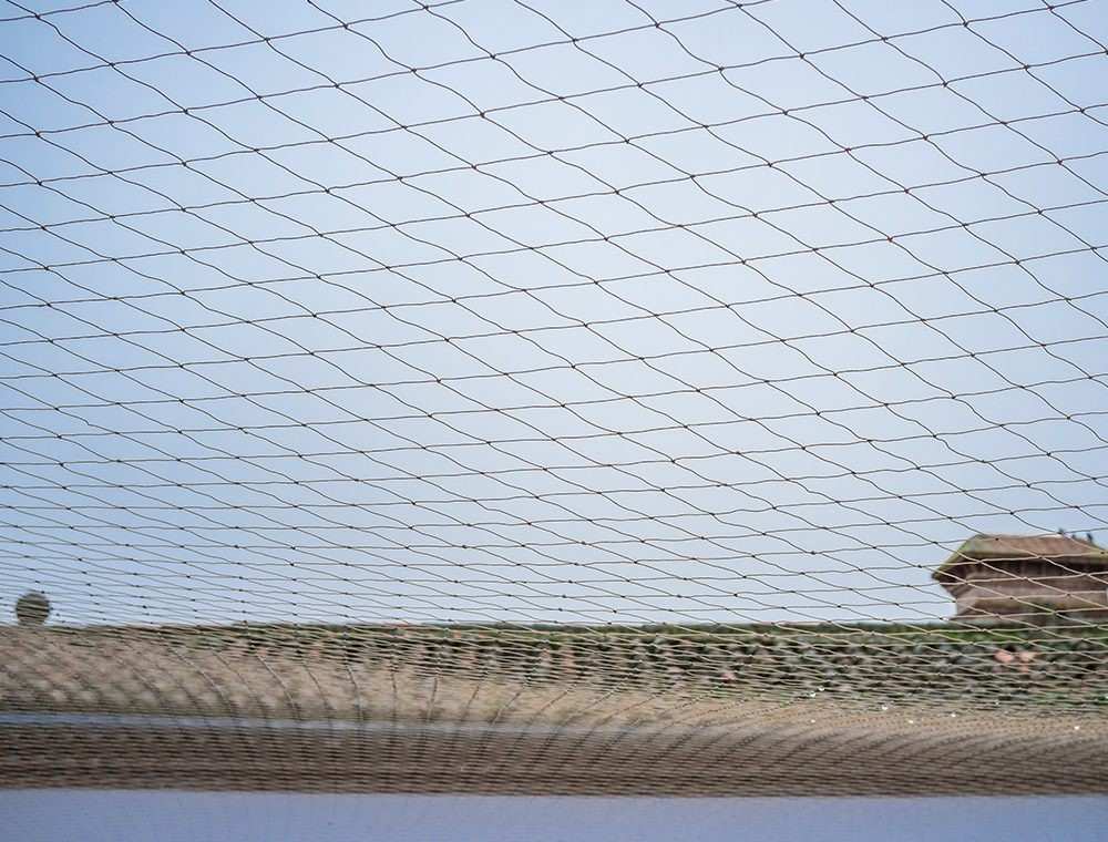 Bird Netting Installation