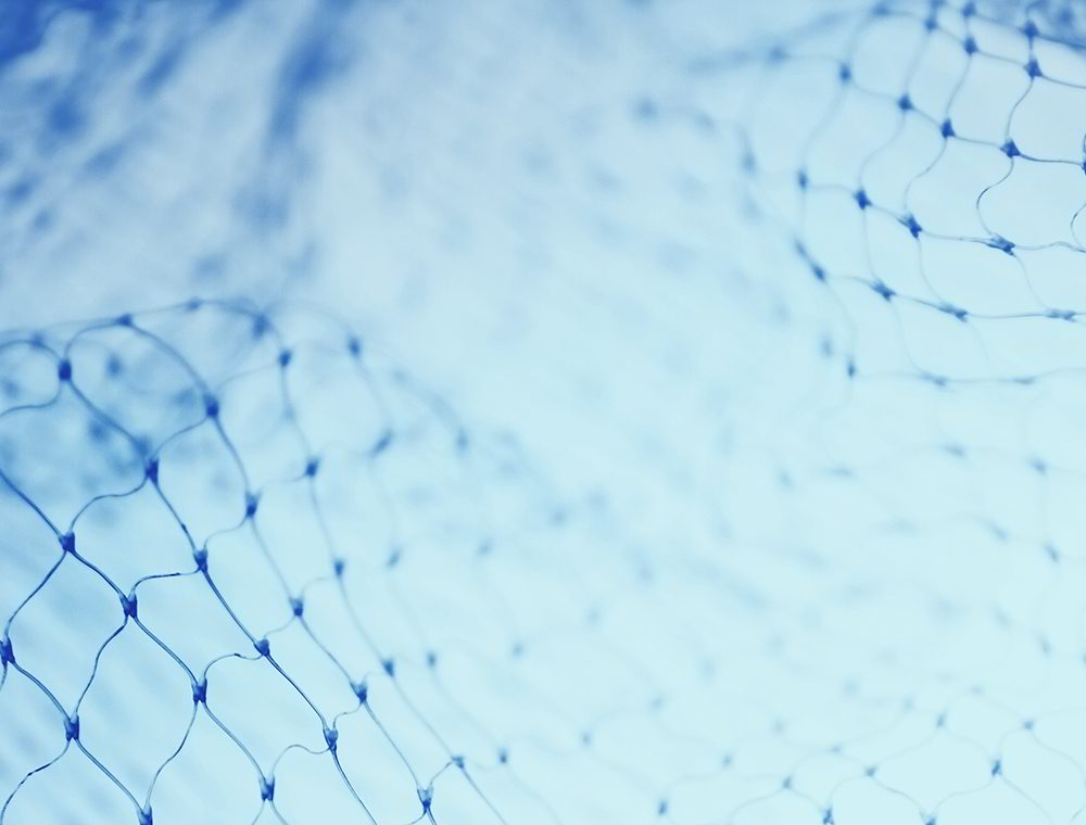 Blue mesh closeup